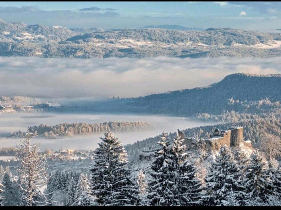 Alpe-Adria Apartments Chanel Top12 Oberaichwald  Esterno foto